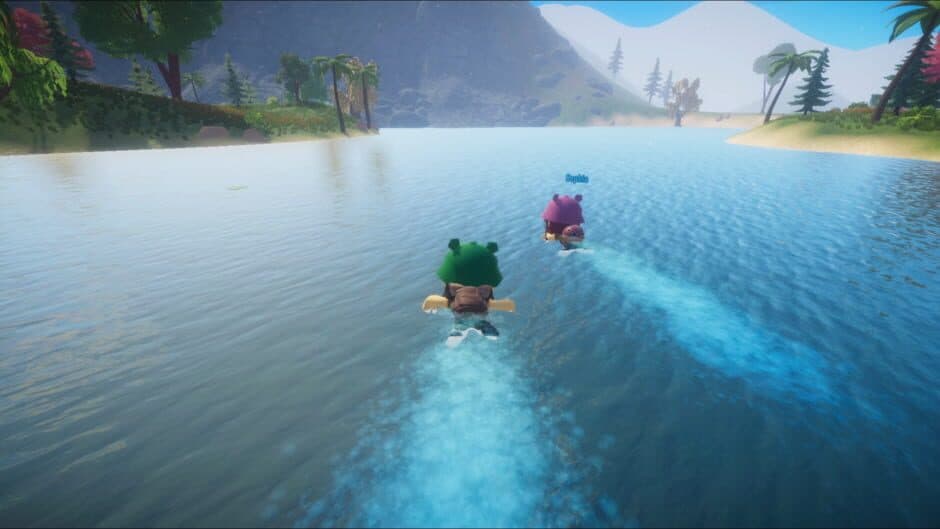 Screenshot 13