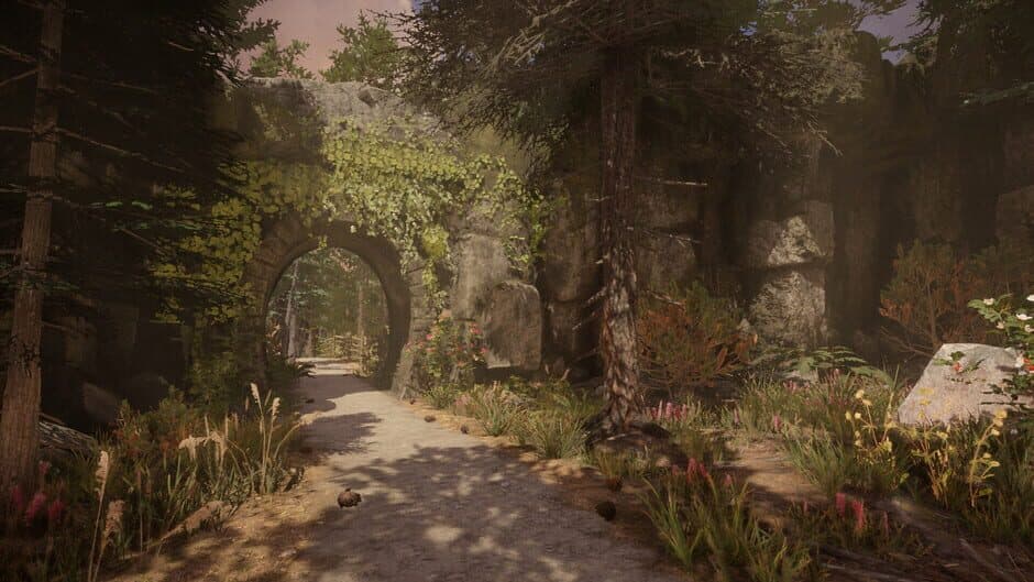 Screenshot 19