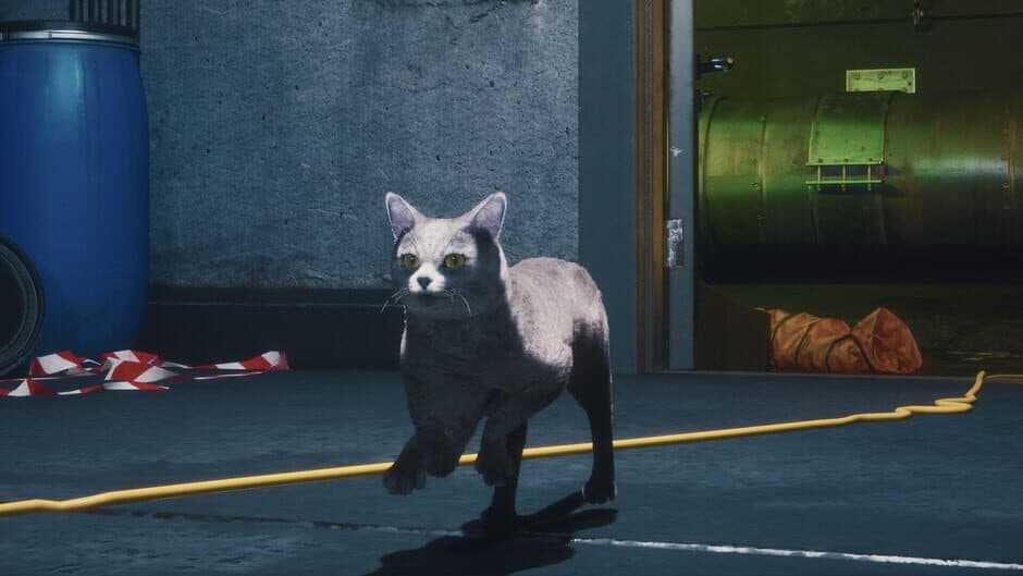 Screenshot 18
