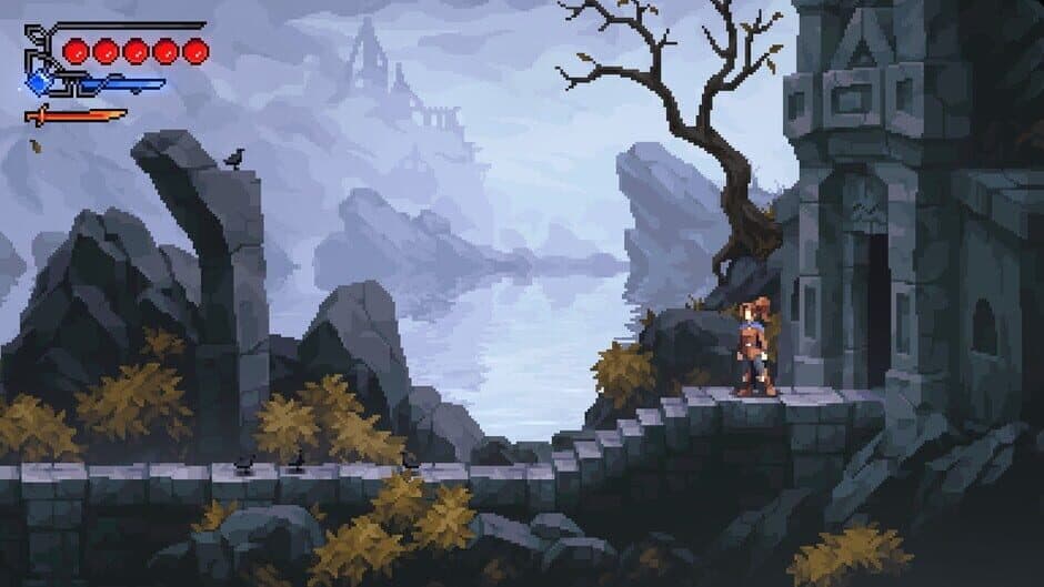 Screenshot 13