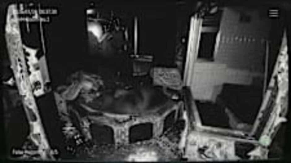Screenshot 17