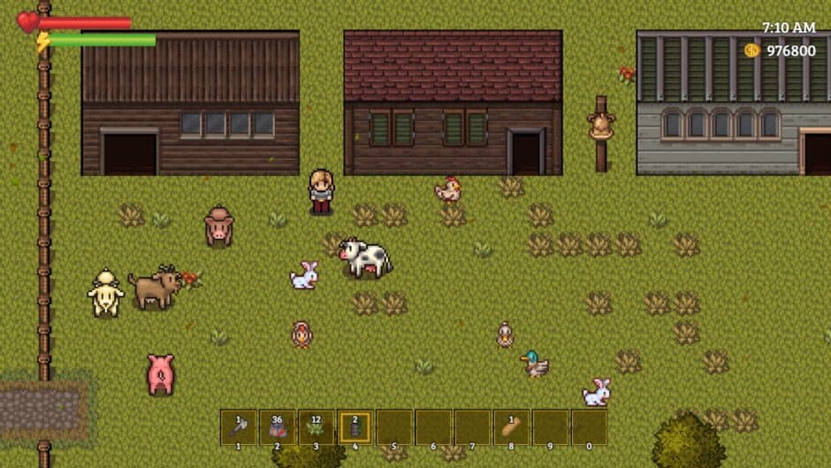 Screenshot 12