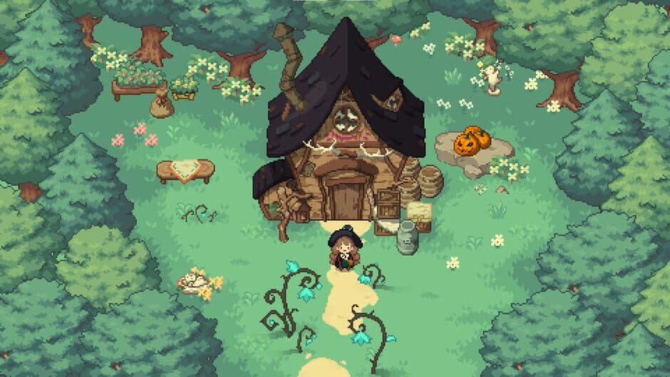 Screenshot 43