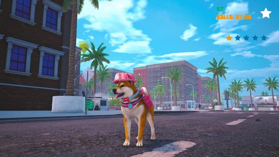Screenshot 9