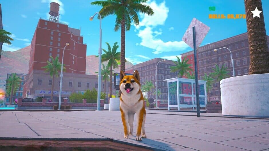 Screenshot 12