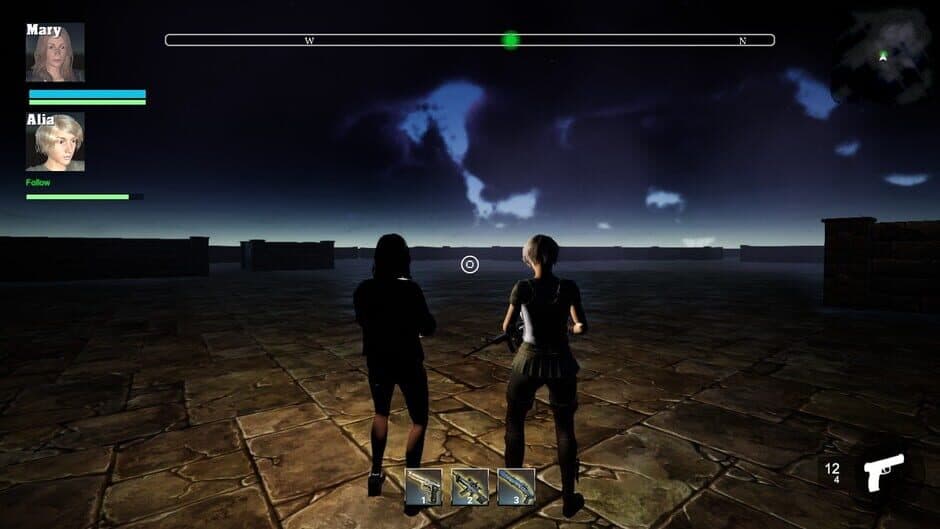 Screenshot 14