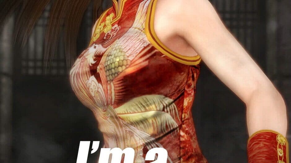 Dead or Alive 5 banner