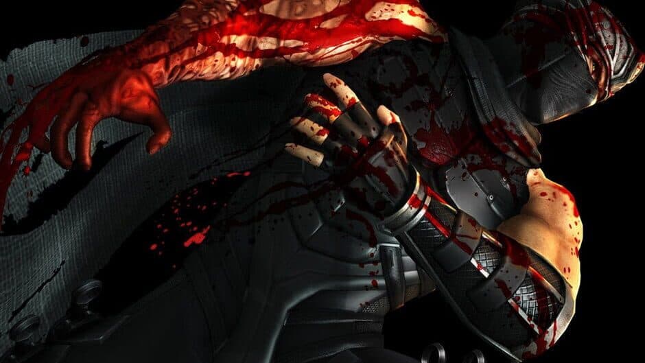 Ninja Gaiden 3 banner
