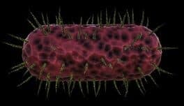 Germophilia cover art