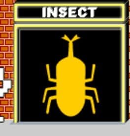 Insect cover art