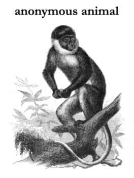 Anonymous Animal cover art