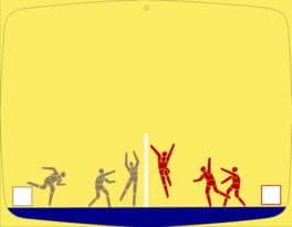 Volleyball cover art