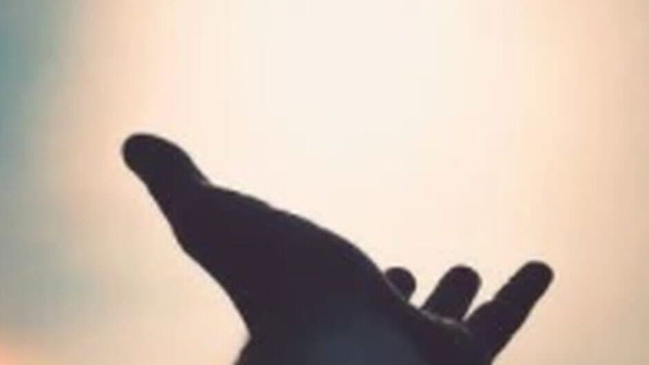 Light Pursuer banner