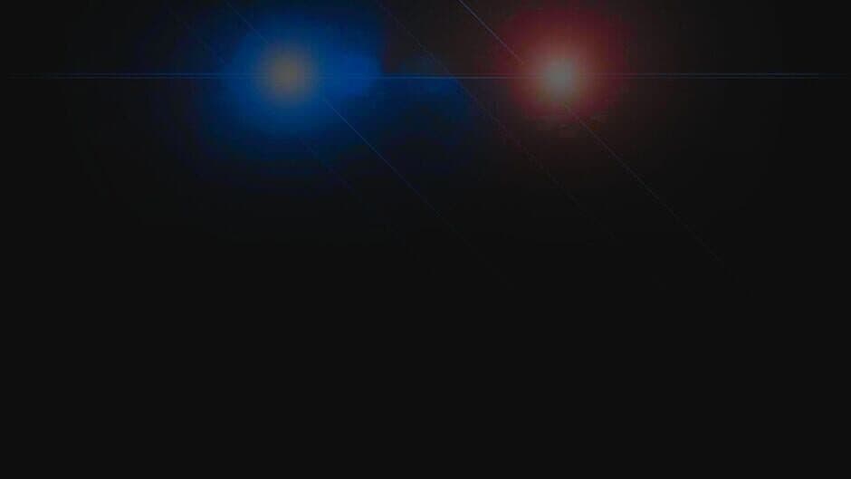 Police Force 2 banner