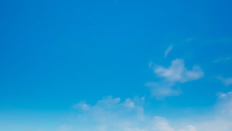 Dog Adventure banner