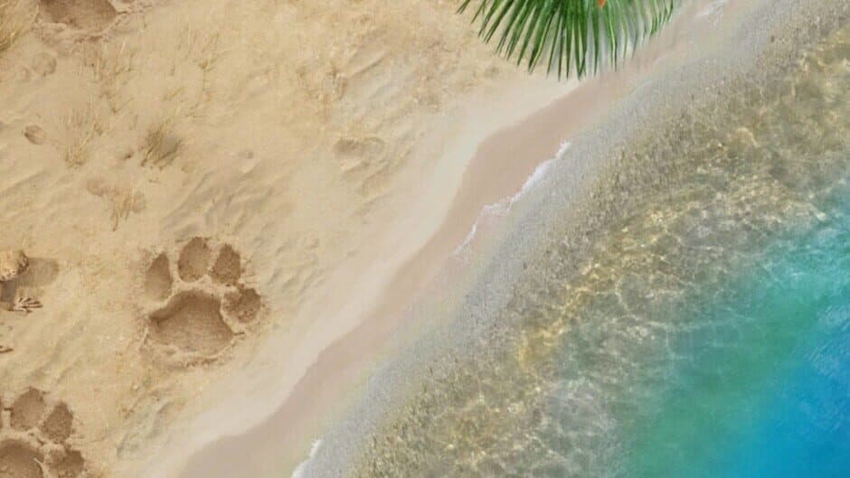 Magic Griddlers 2 banner