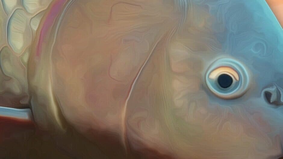 Carp Fishing Simulator banner