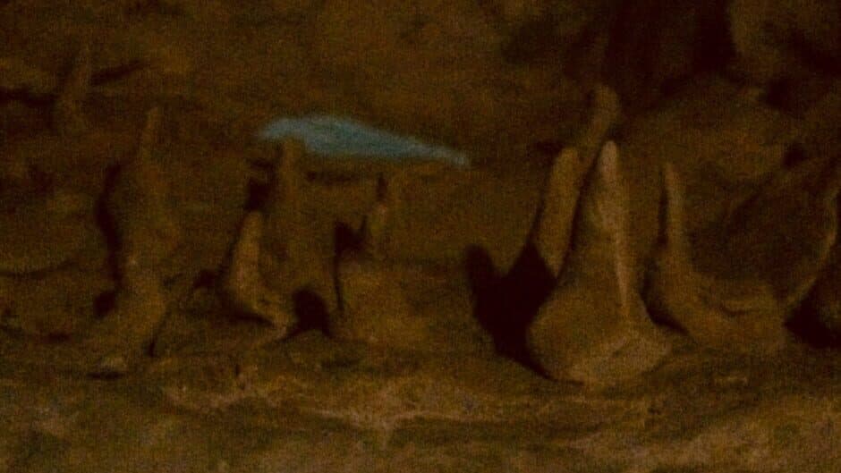 Collapse Relapse banner