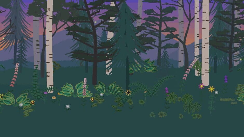 Witchhazel Woods banner