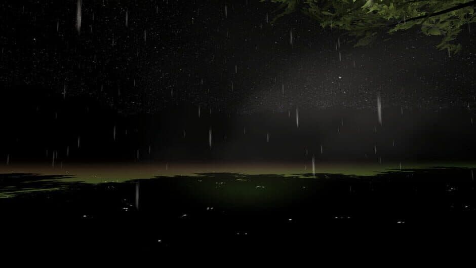 Midnight at Forest banner