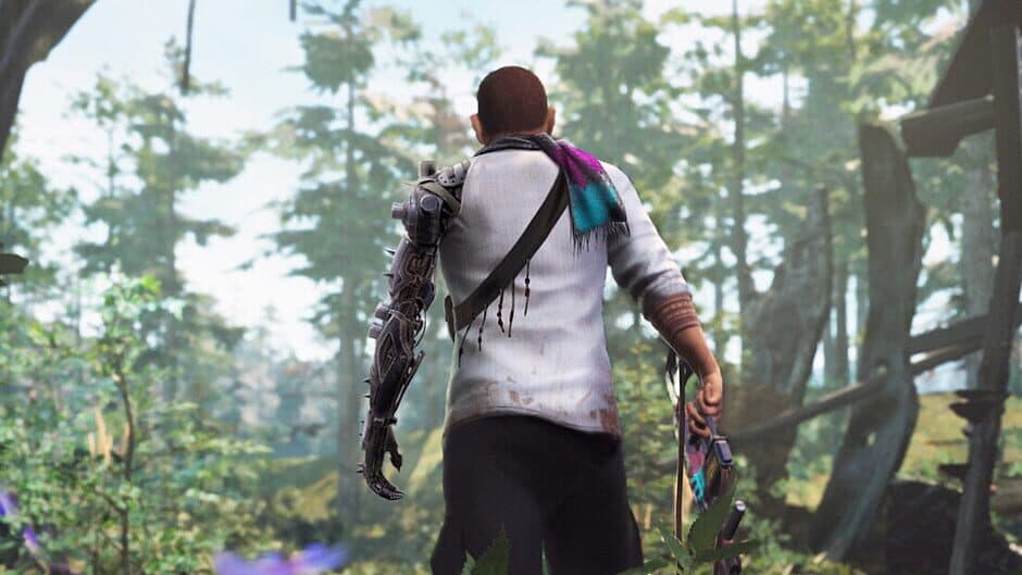 Absolute Matter banner