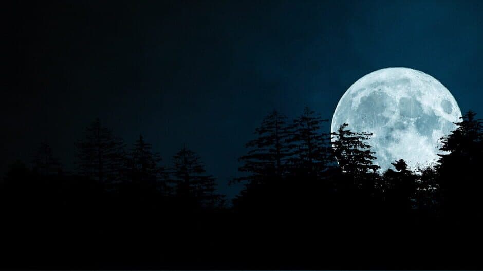 Scopaesthesia banner