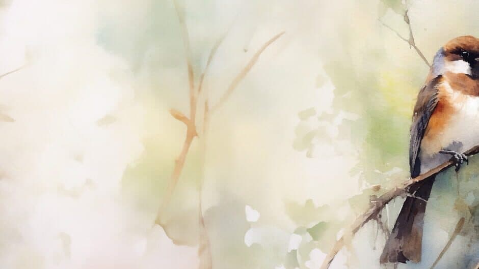 My Dear Emma banner