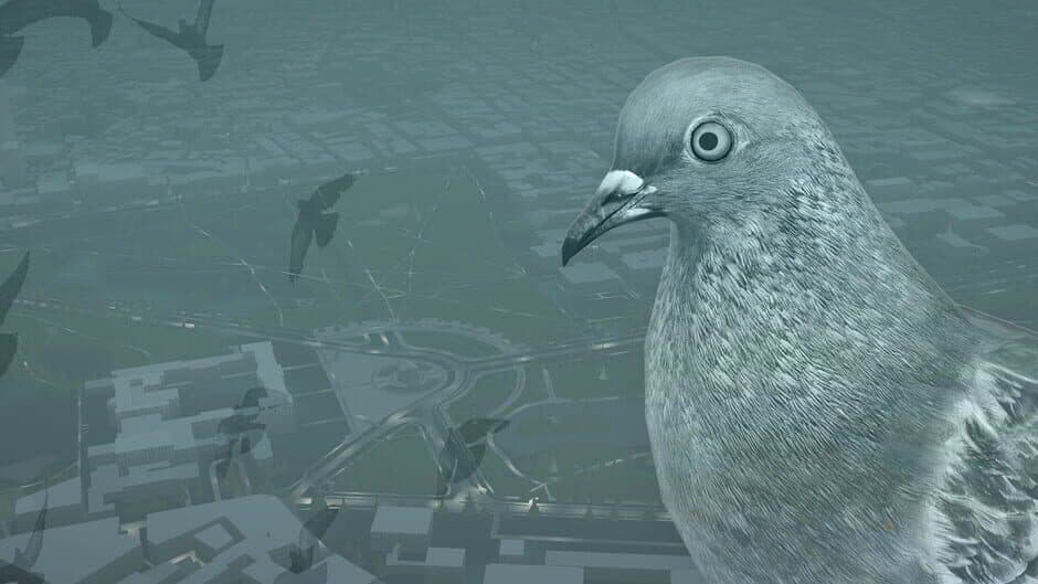 Pigeon: A Love Story banner