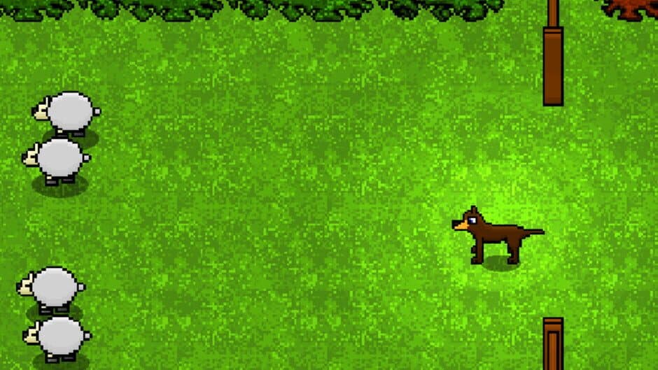 Bush Dog banner