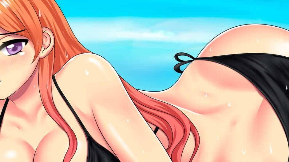 Ahegal Seasons banner