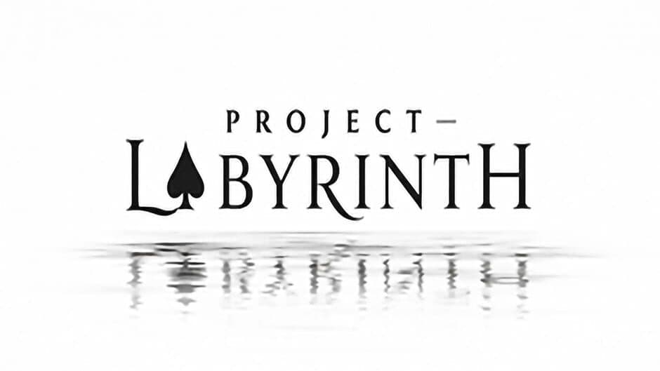 Project - Labyrinth banner