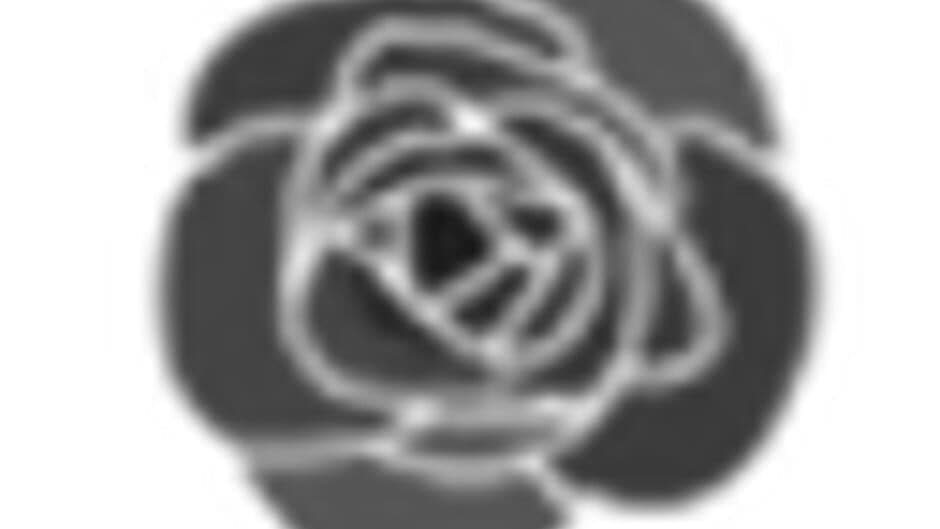 Bittersweet Blossoms banner
