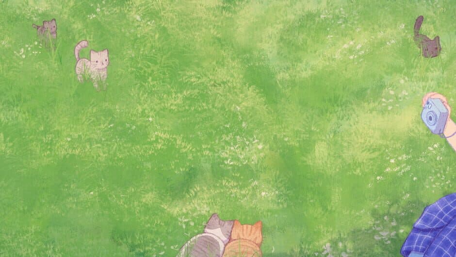 Snap the Cat banner