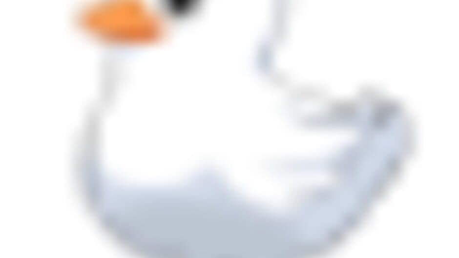 Dodo Duckie banner