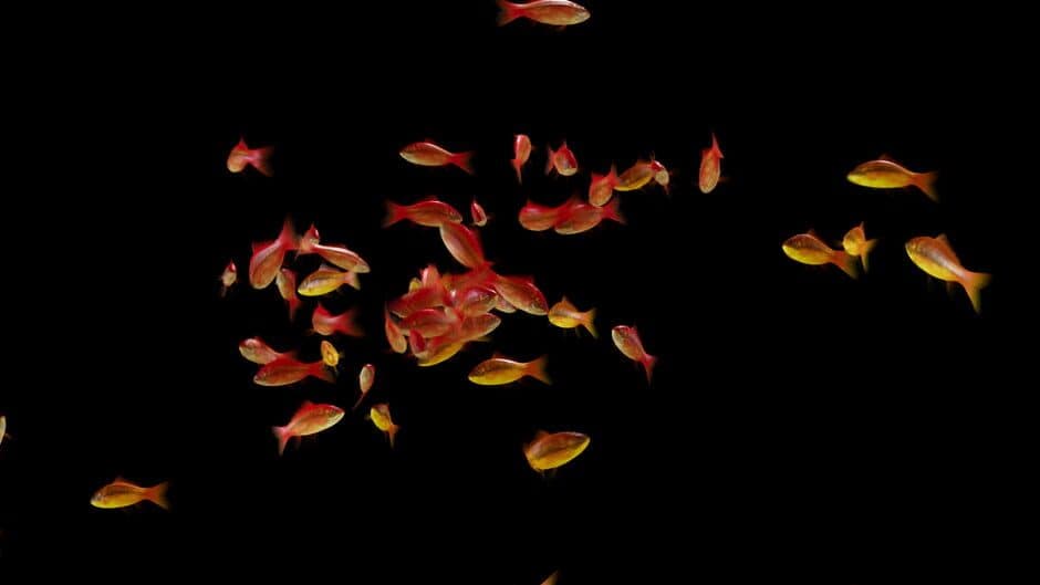 Goldfish Simulator banner