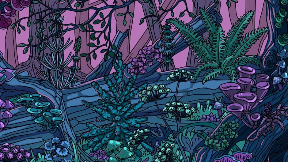Curious Paws: Hidden Objects banner