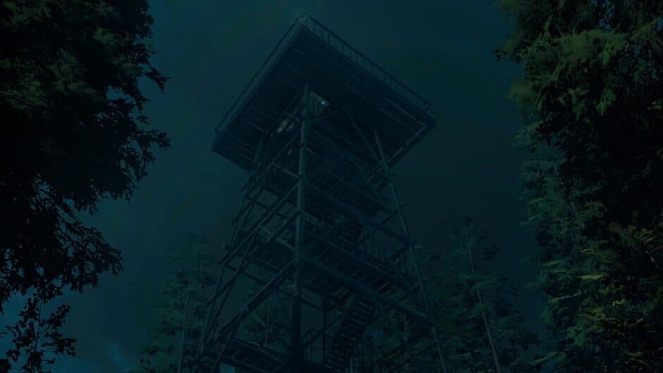 Forest Lookout banner