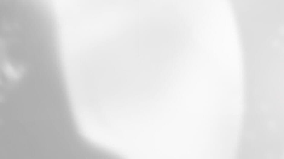 Shisya Zero banner