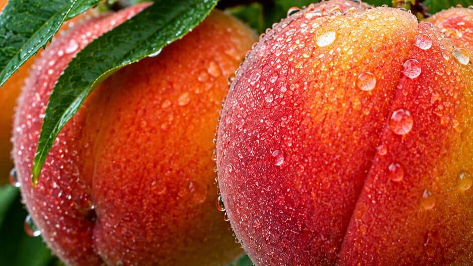 Puzzles Fruit banner