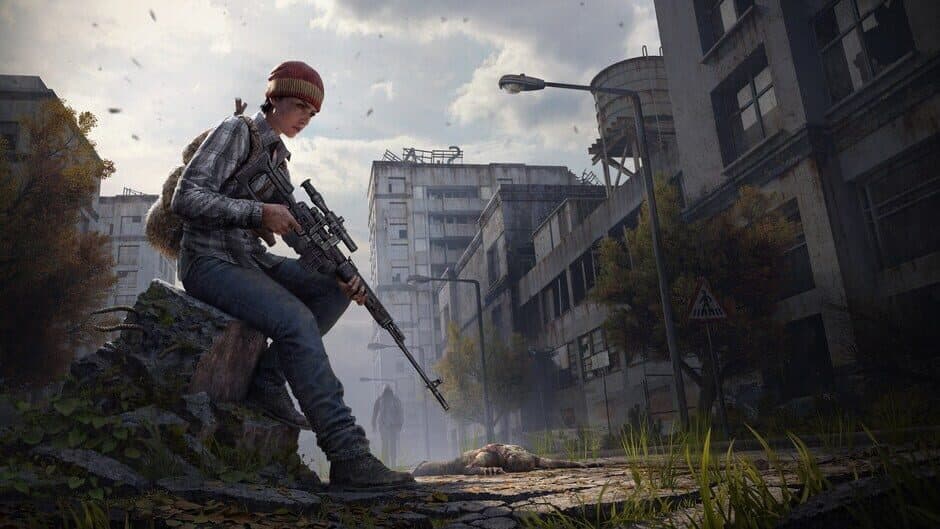 DayZ banner