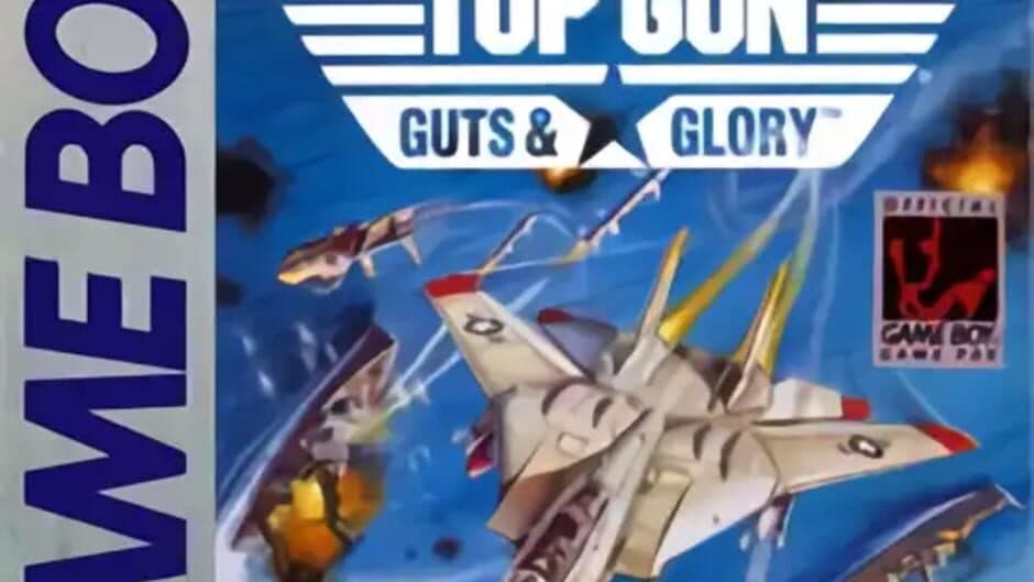 Top Gun: Guts and Glory banner