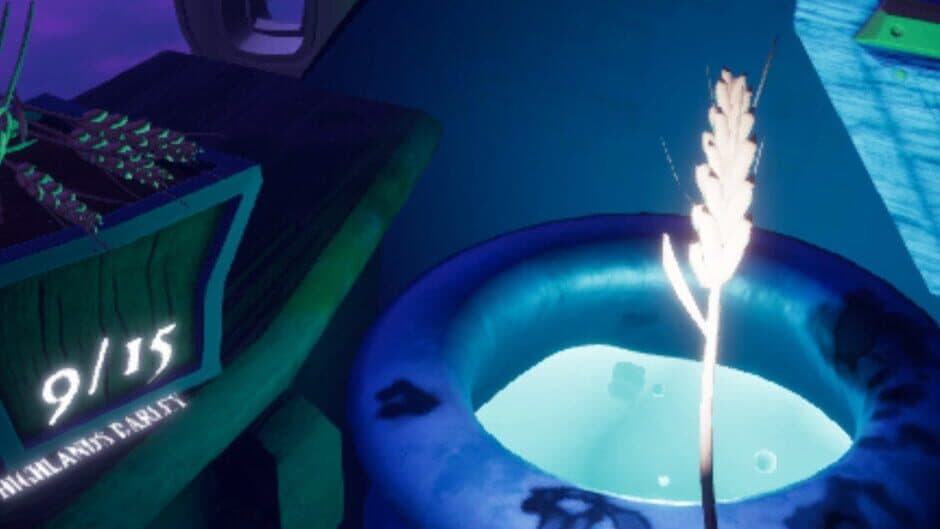 Cures & Curios banner