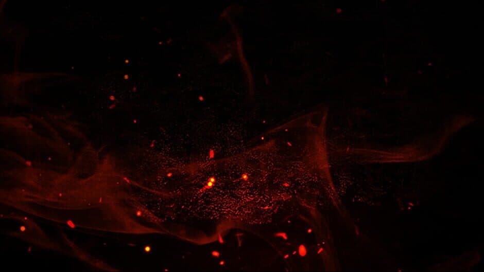 When Wardens Fall banner