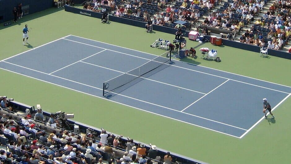 Tennis Elbow Manager banner