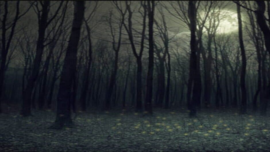 The Witch's Maze banner