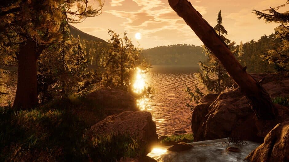 Reaching for Petals banner