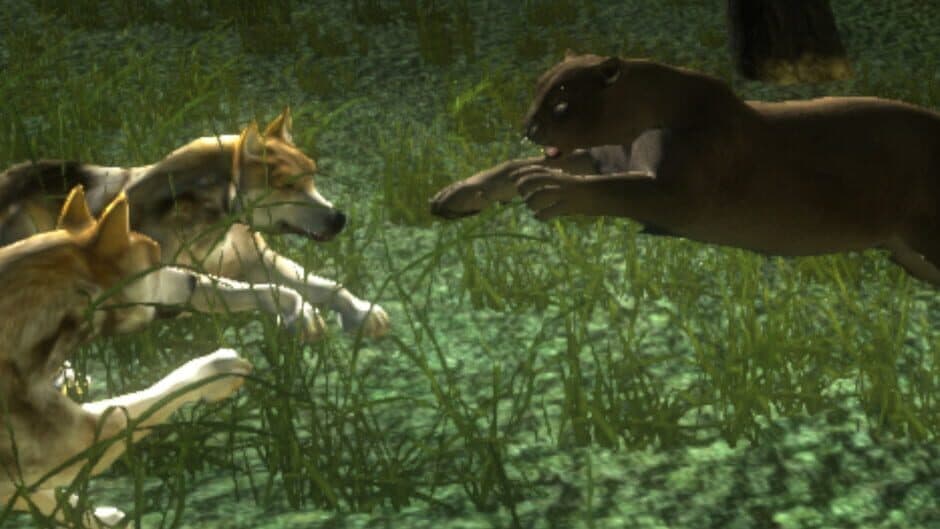 Untamed: Life of a Cougar banner