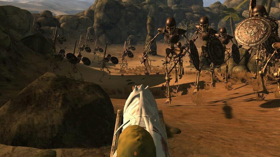 Desert coachman banner