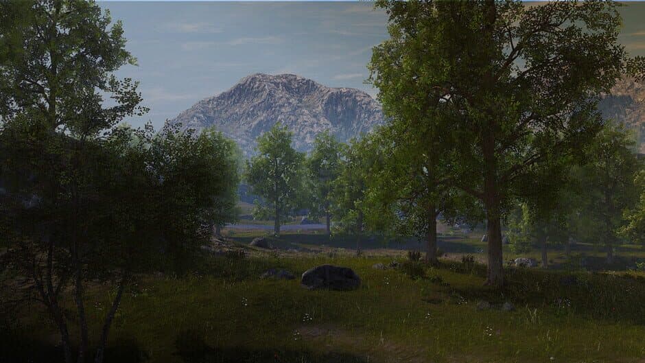 Anarea Battle Royale banner