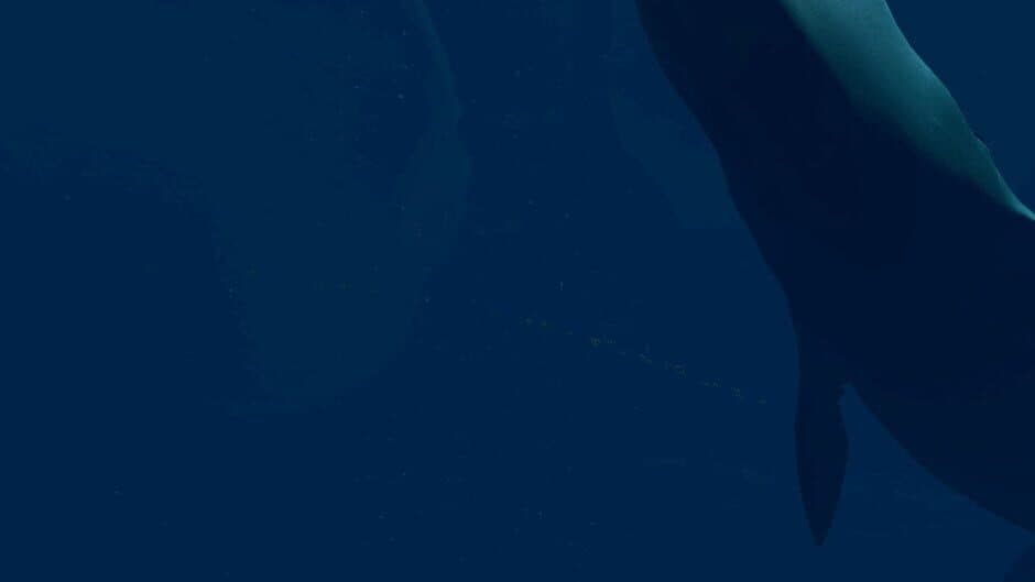 Virtual Arctic Expedition banner